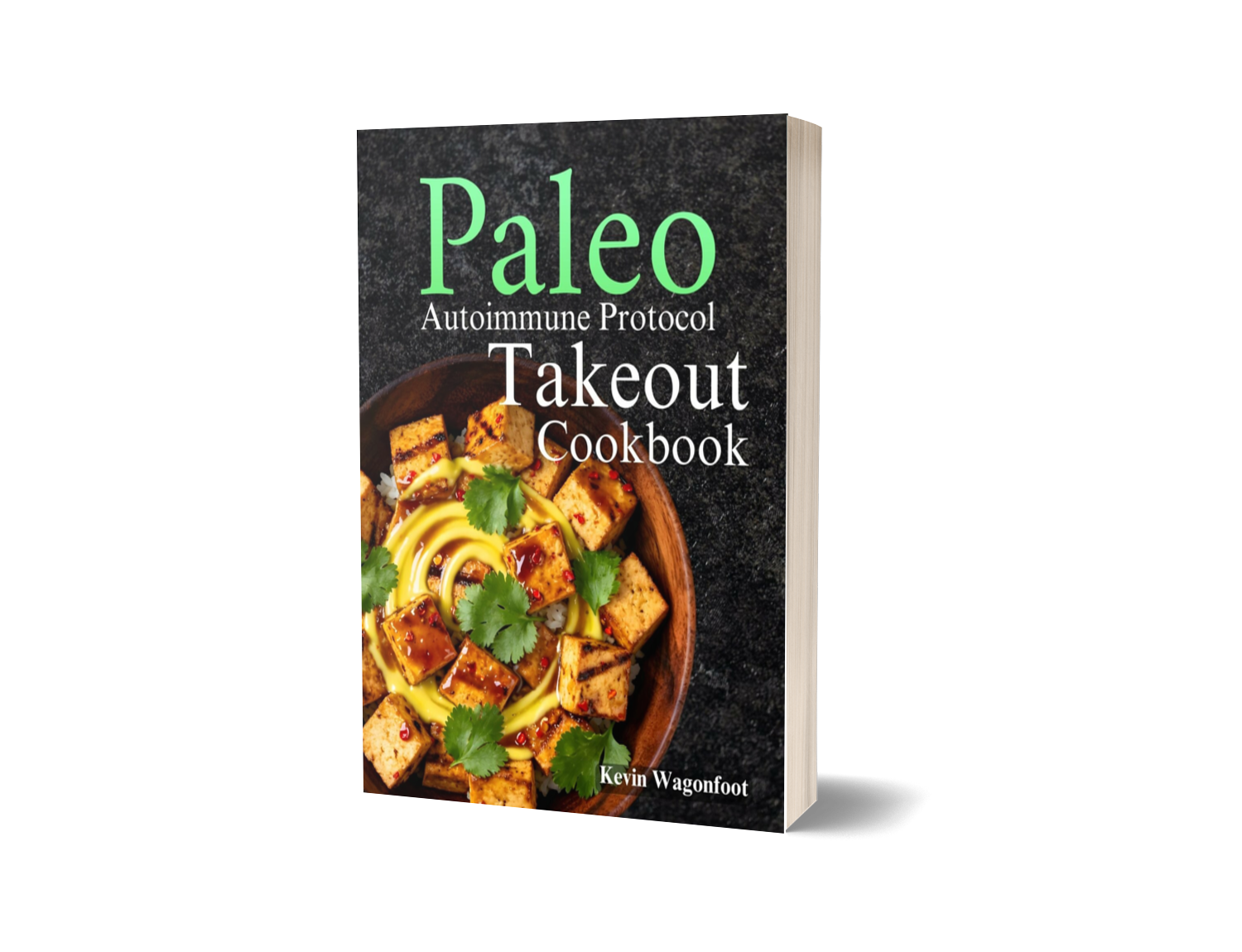 Paleo AIP Takeout Cookbook